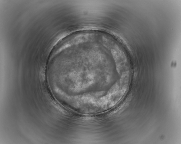 X0000094461409200711291711