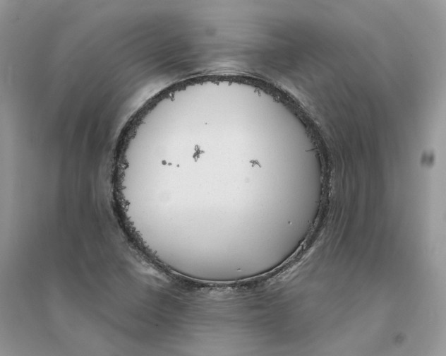 X0000094461410200711291711