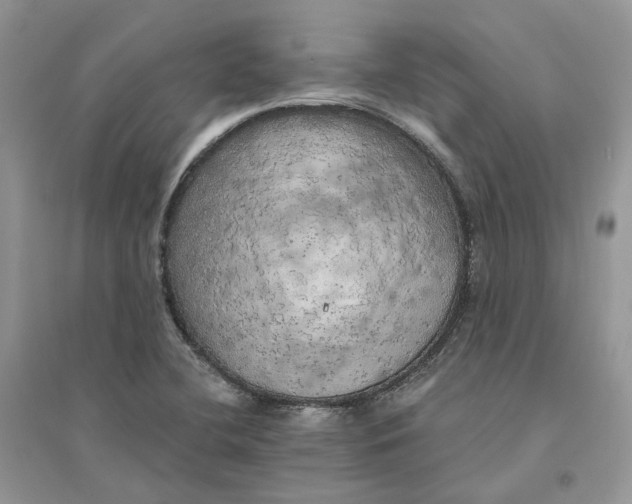 X0000094461412200711291711