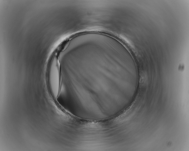 X0000094461414200711291711