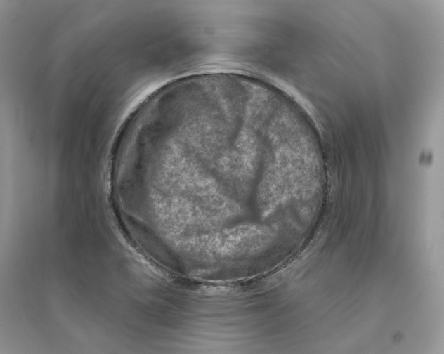 X0000094461415200711291711