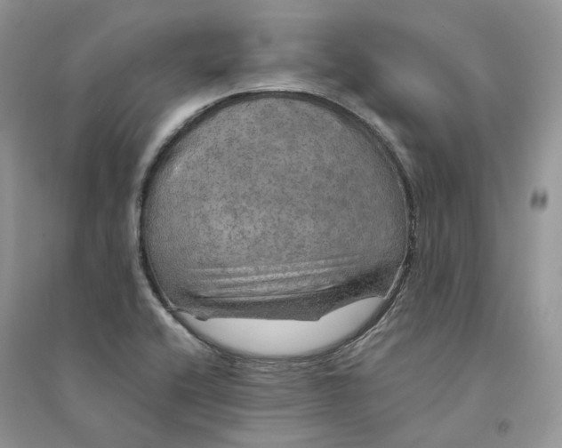 X0000094461416200711291711