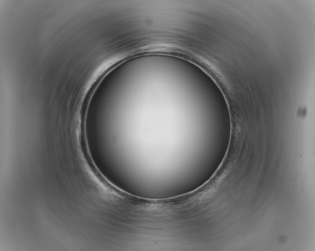 X0000094461418200711291711