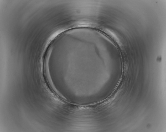 X0000094461419200711291711