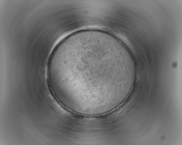 X0000094461420200711291711