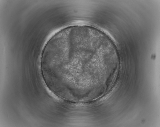 X0000094461421200711291711