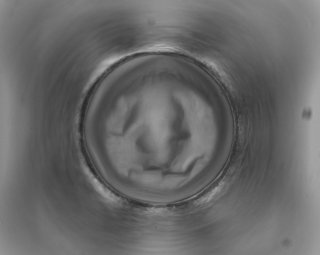 X0000094461422200711291711