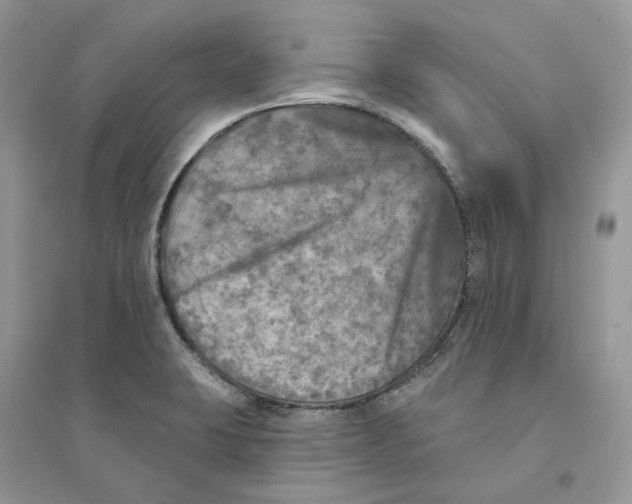 X0000094461423200711291711