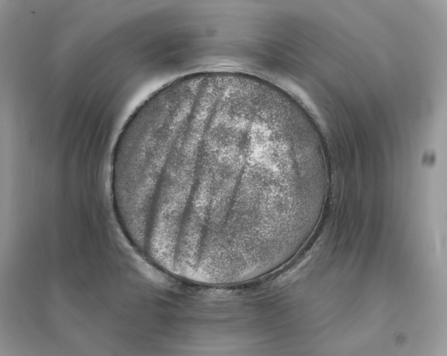 X0000094461424200711291711