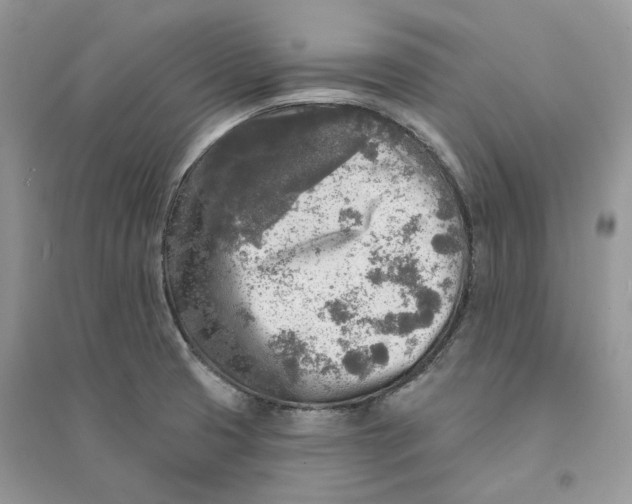 X0000094461425200711291711