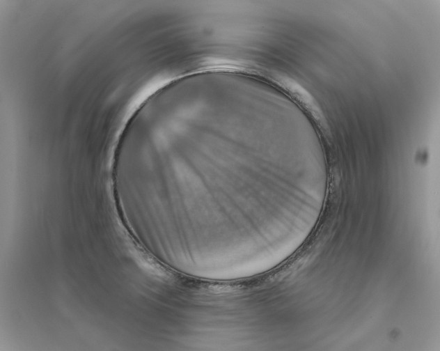 X0000094461427200711291712