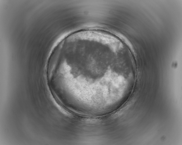 X0000094461429200711291712