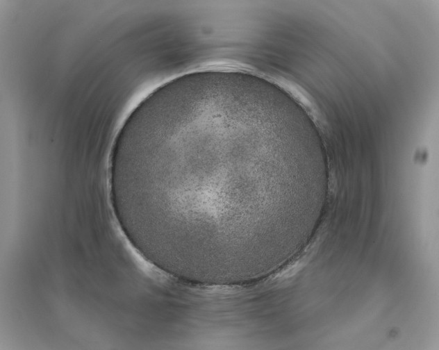 X0000094461430200711291712