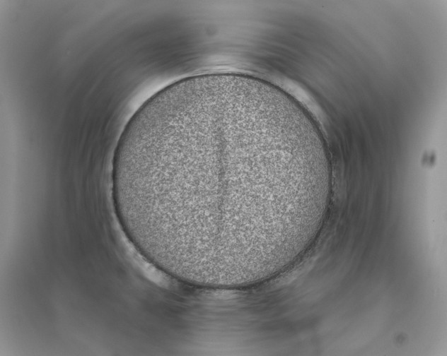 X0000094461431200711291712