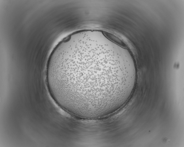 X0000094461432200711291712