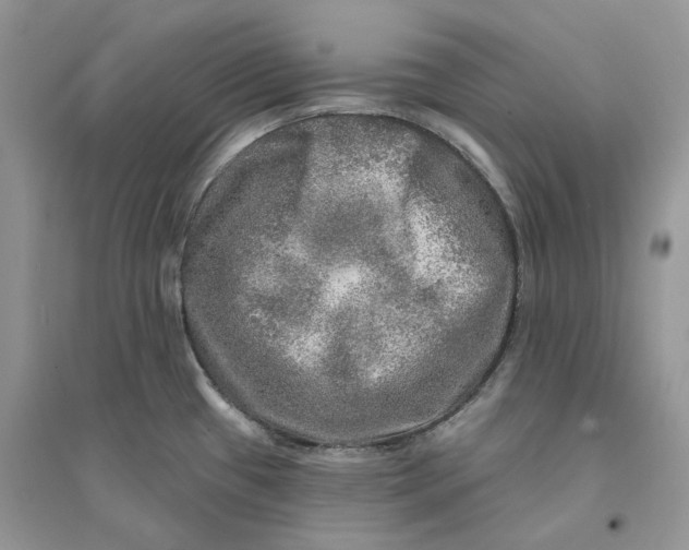 X0000094461433200711291712