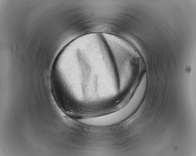 X0000094461434200711291712