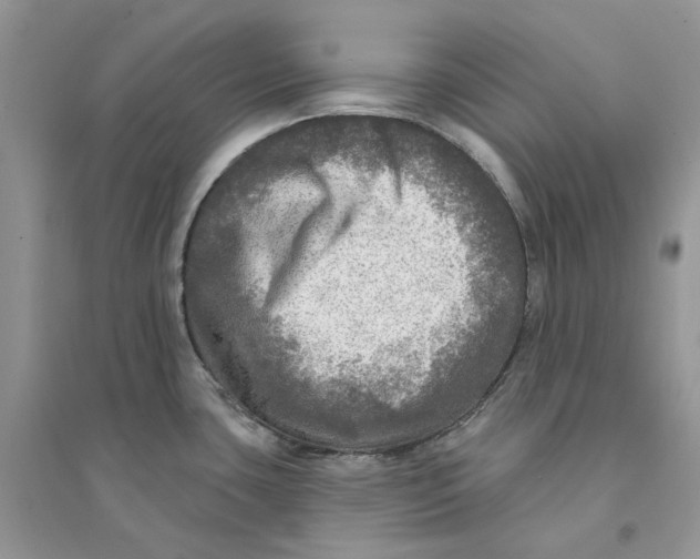 X0000094461435200711291712