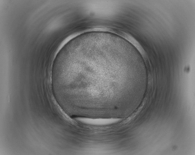 X0000094461436200711291712