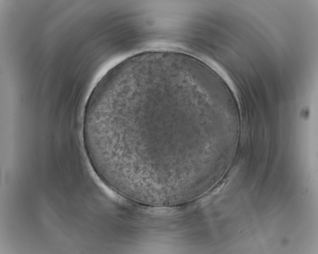 X0000094461437200711291712