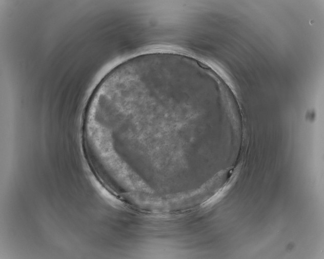 X0000094461438200711291712