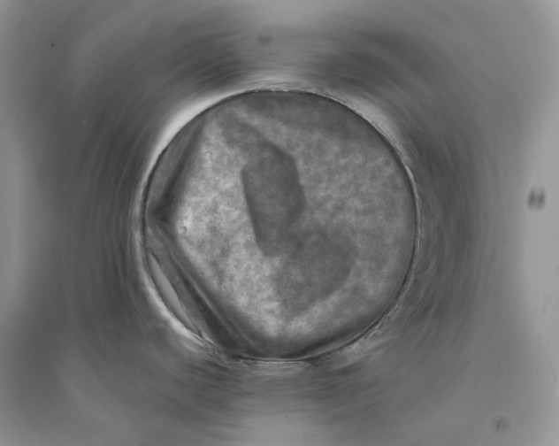 X0000094461440200711291712