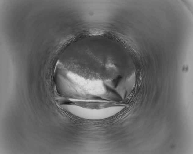 X0000094461441200711291711