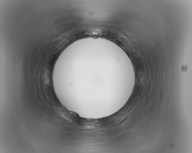 X0000094461442200711291711