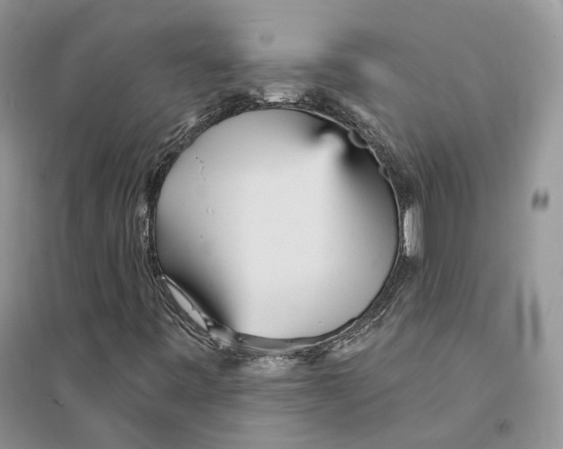 X0000094461443200711291711