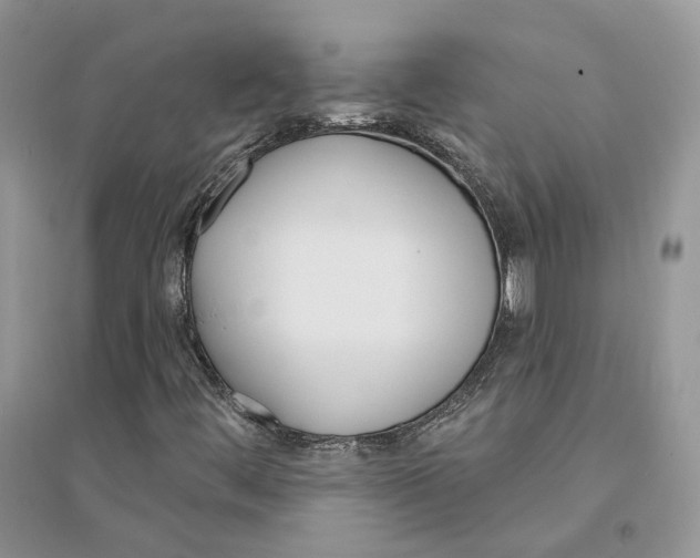 X0000094461444200711291711