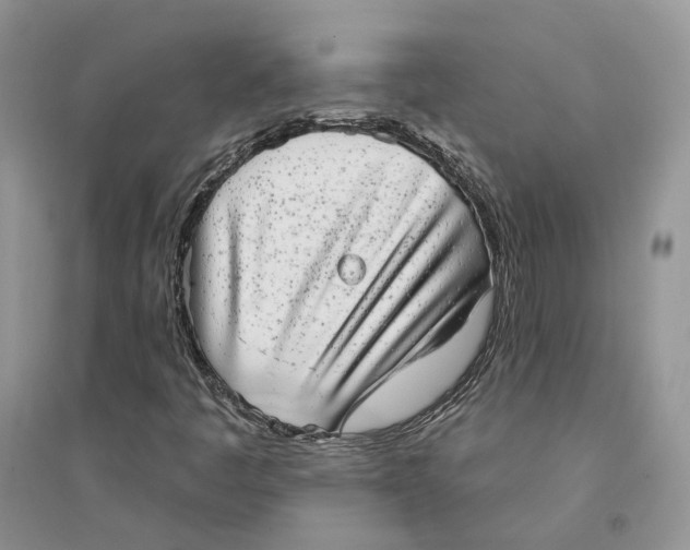 X0000094461445200711291711