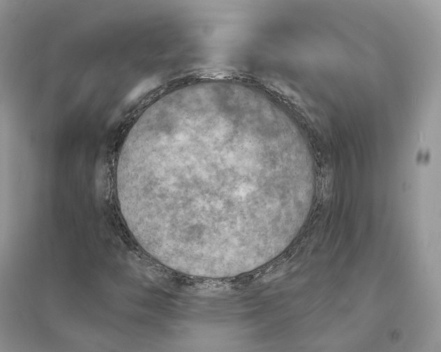 X0000094461446200711291711