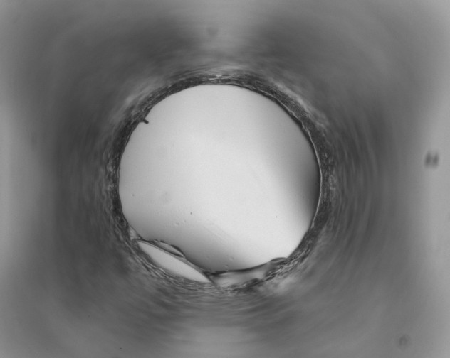 X0000094461447200711291711