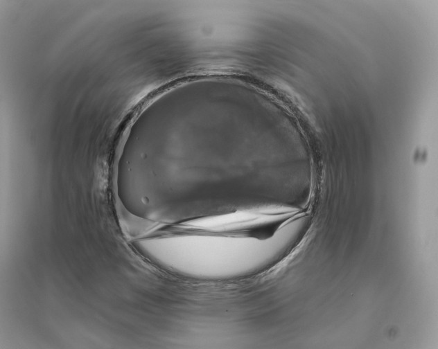 X0000094461449200711291711