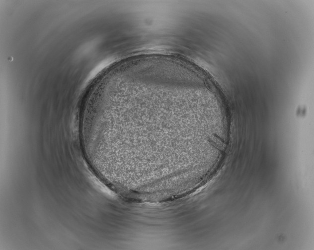 X0000094461450200711291711