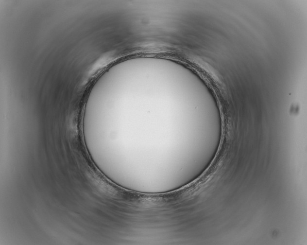 X0000094461451200711291711