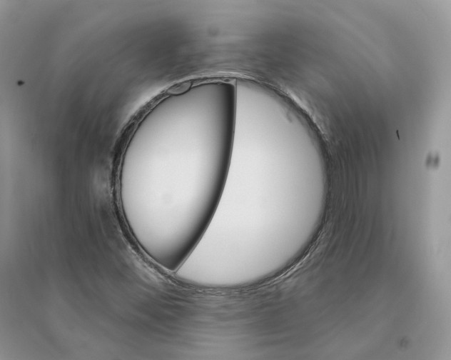 X0000094461452200711291711