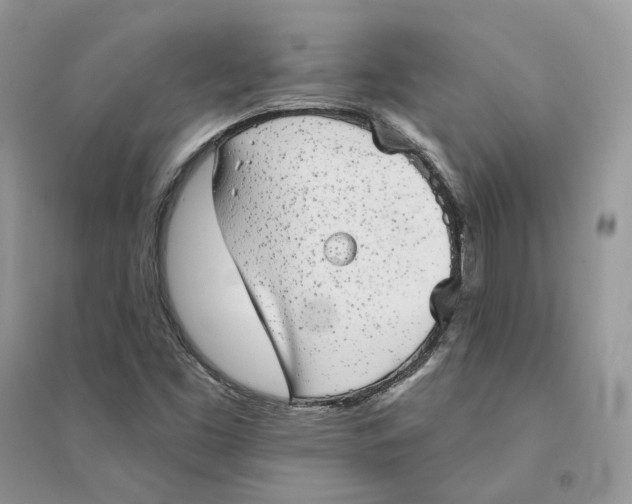 X0000094461453200711291711