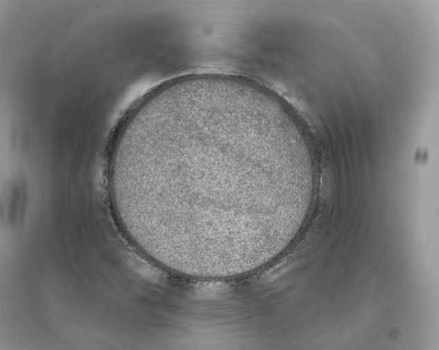 X0000094461454200711291711