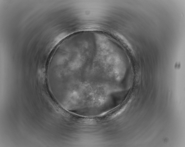 X0000094461457200711291711