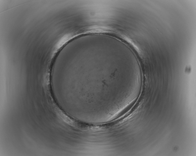 X0000094461459200711291711