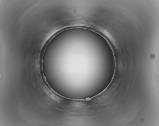 X0000094461460200711291711