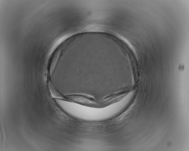 X0000094461461200711291711