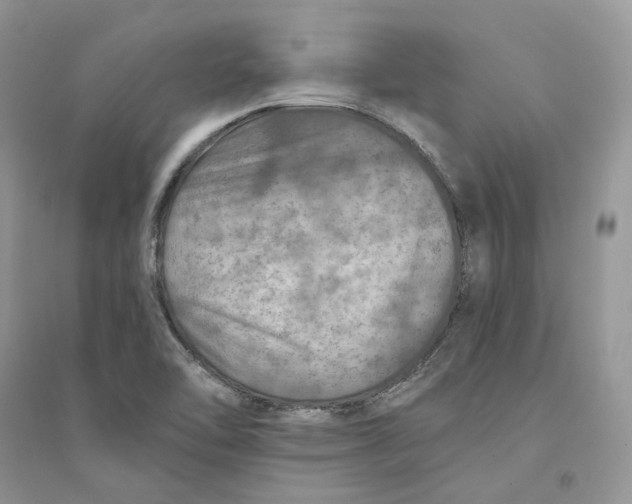 X0000094461462200711291711