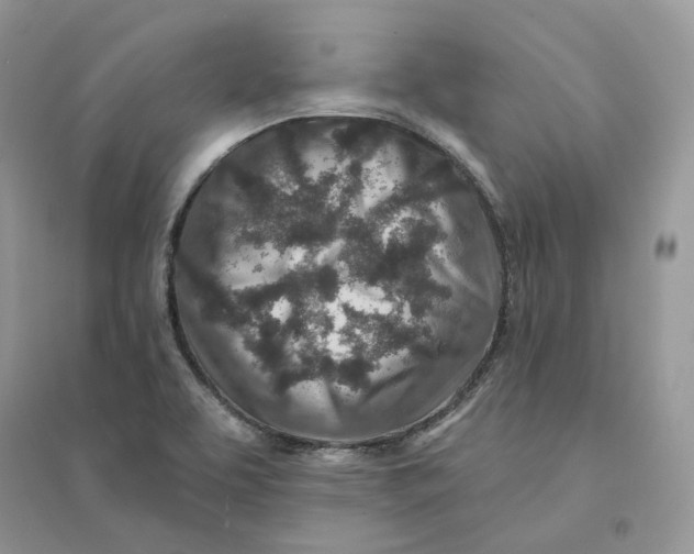 X0000094461463200711291711