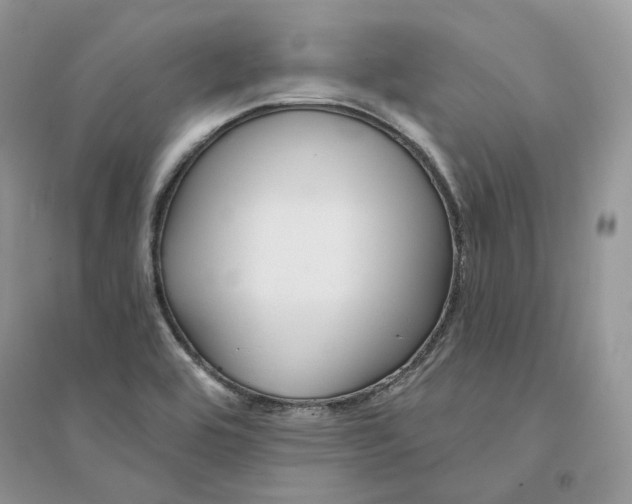 X0000094461464200711291711