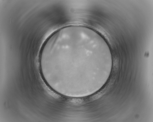 X0000094461466200711291711