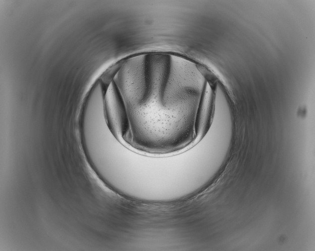 X0000094461468200711291711