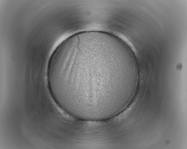 X0000094461469200711291711