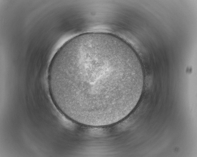 X0000094461470200711291711